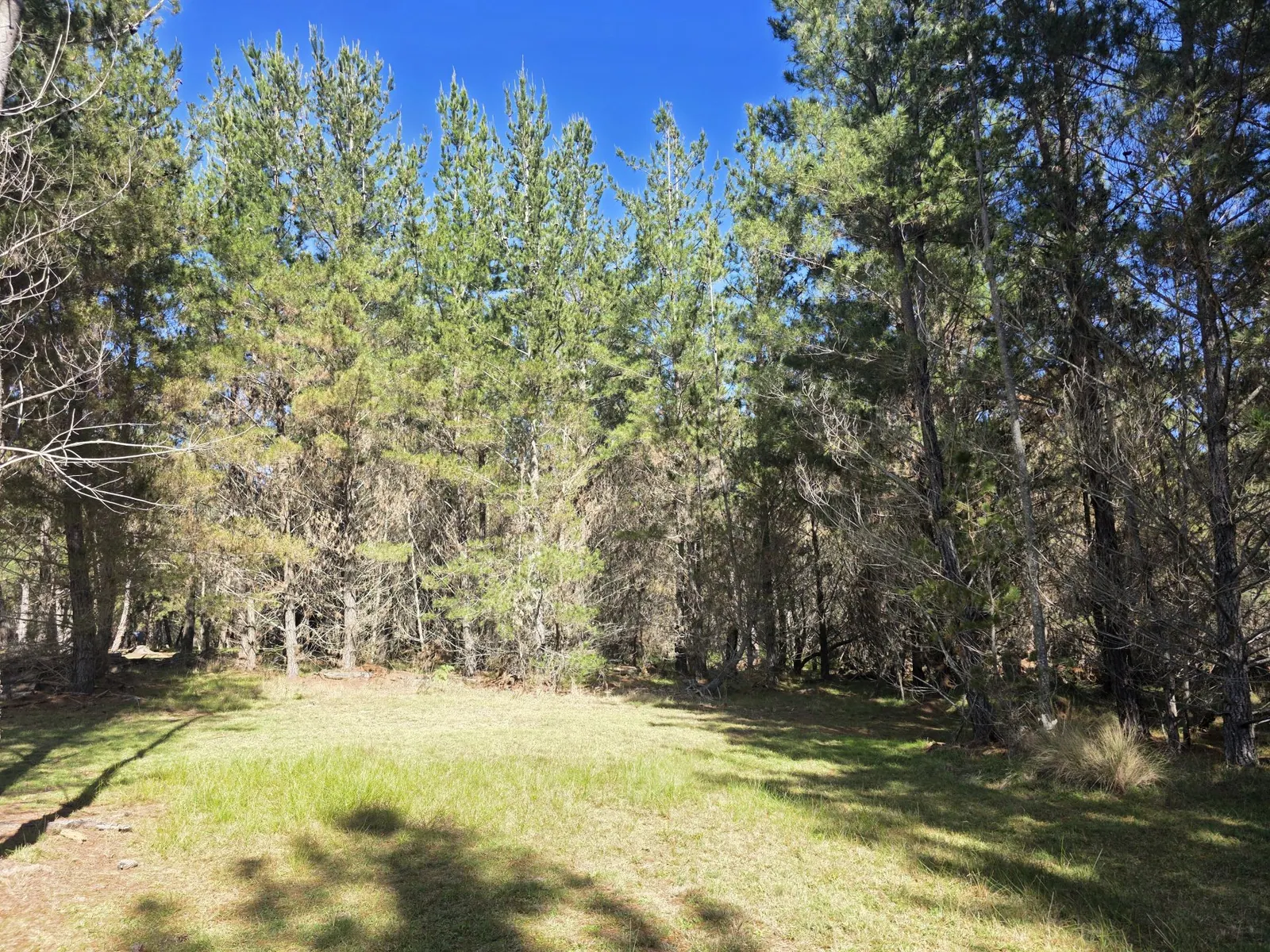 Lot 86 Sunset Crescent, Sugarloaf