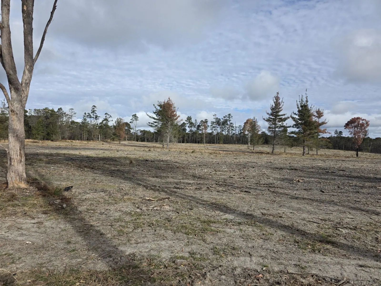Lot 194 Prospect Crescent, Sugarloaf