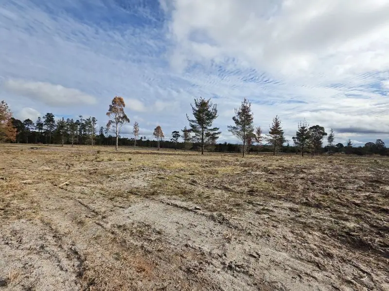 Lot 194 Prospect Crescent, Sugarloaf — photograph 4