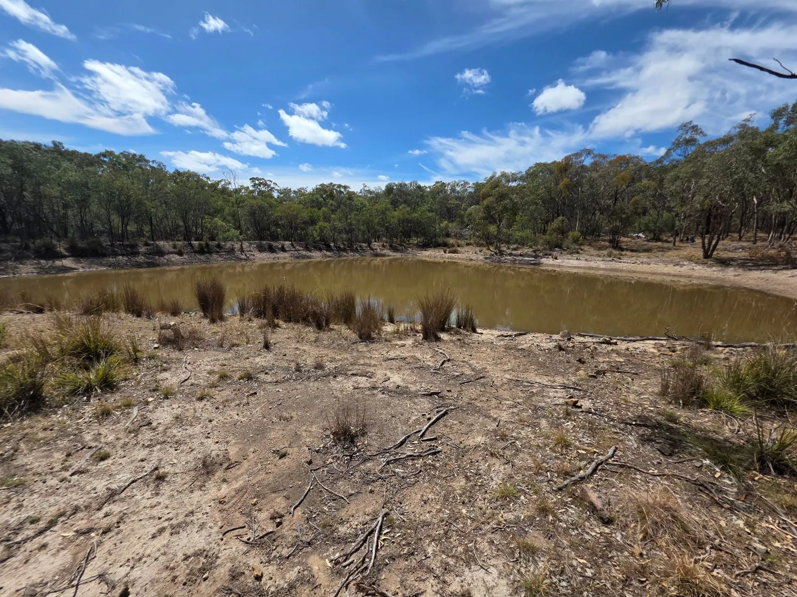 44 Foxbar Road, Pikedale