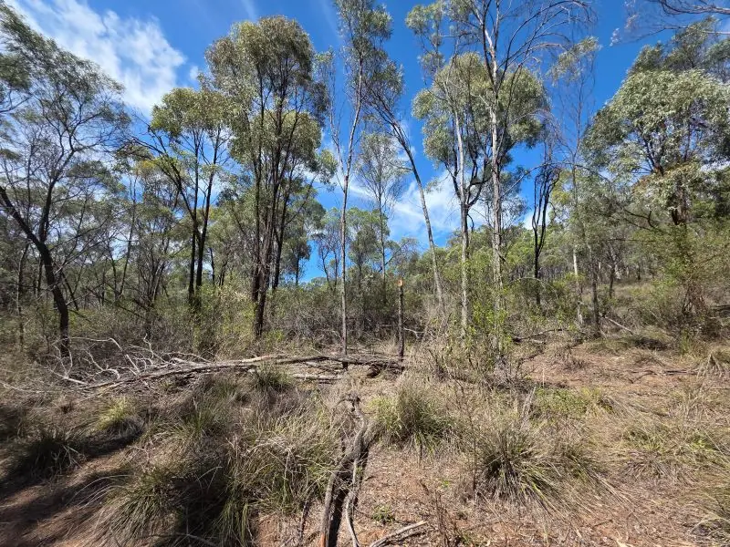 44 Foxbar Road, Pikedale — photograph 6