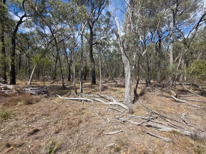 44 Foxbar Road, Pikedale — photograph 7