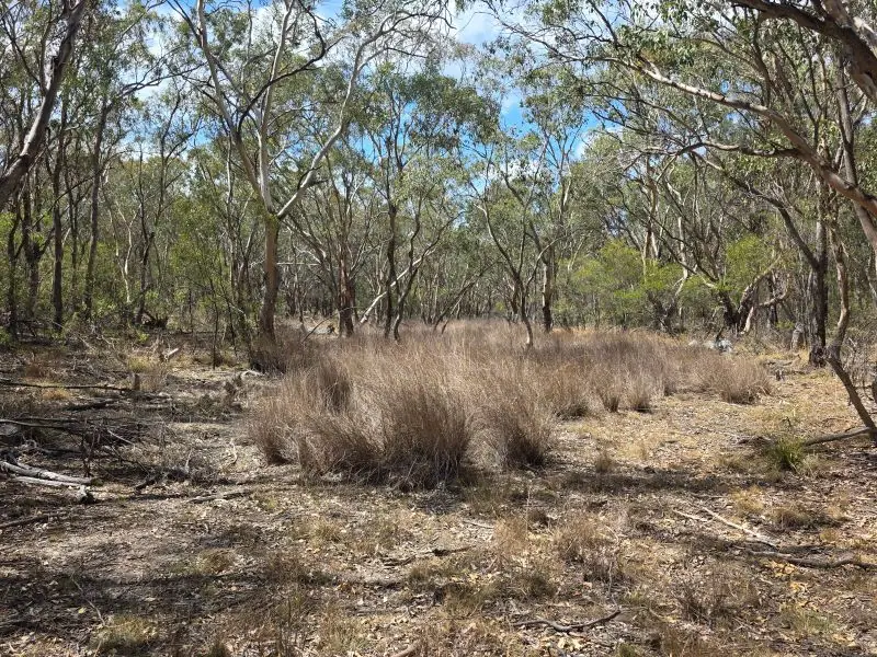 44 Foxbar Road, Pikedale — photograph 8