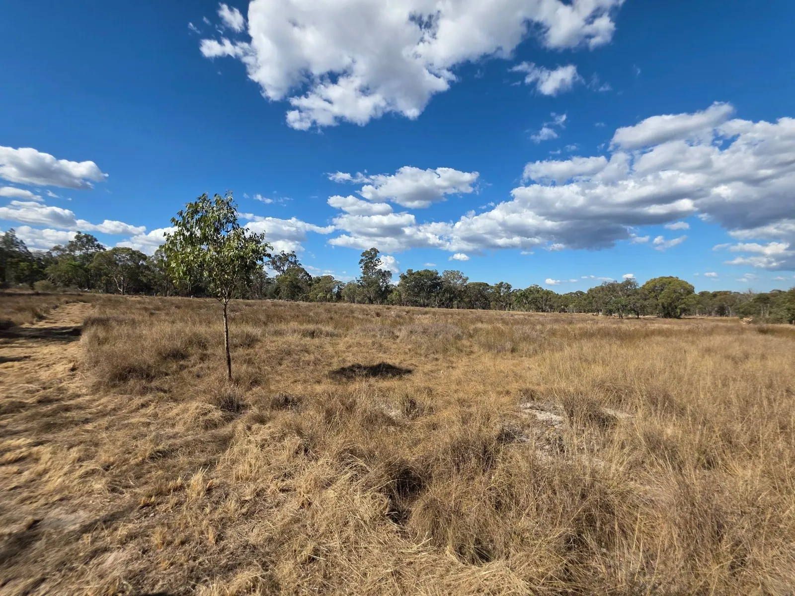Lot 281 Boyce Road, Thorndale