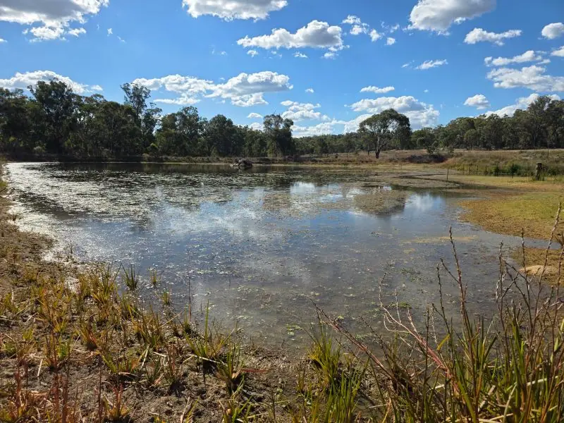 Lot 281 Boyce Road, Thorndale — photograph 2