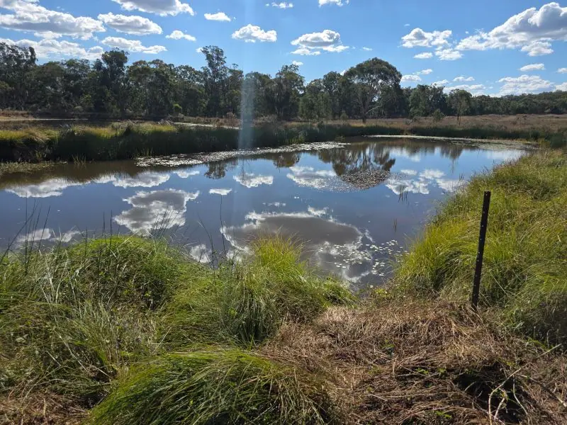 Lot 281 Boyce Road, Thorndale — photograph 4