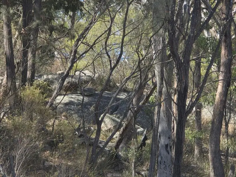 Lot 281 Boyce Road, Thorndale — photograph 8