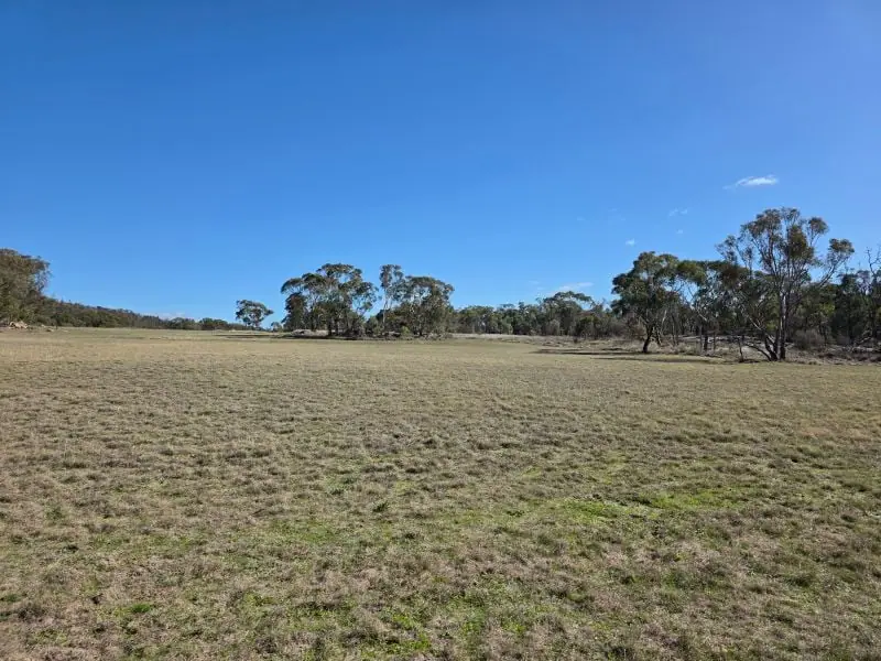 181 Bents Road, Ballandean — photograph 2