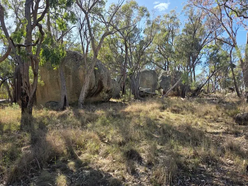 181 Bents Road, Ballandean — photograph 7