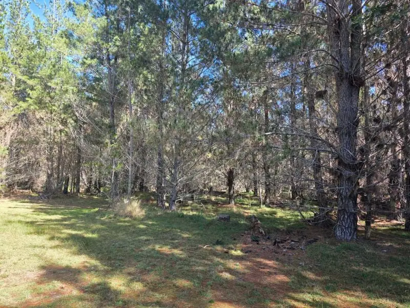 Lot 86 Sunset Crescent, Sugarloaf — photograph 3