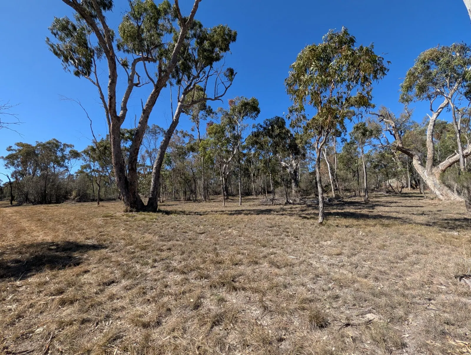 27855 New England Highway, Ballandean